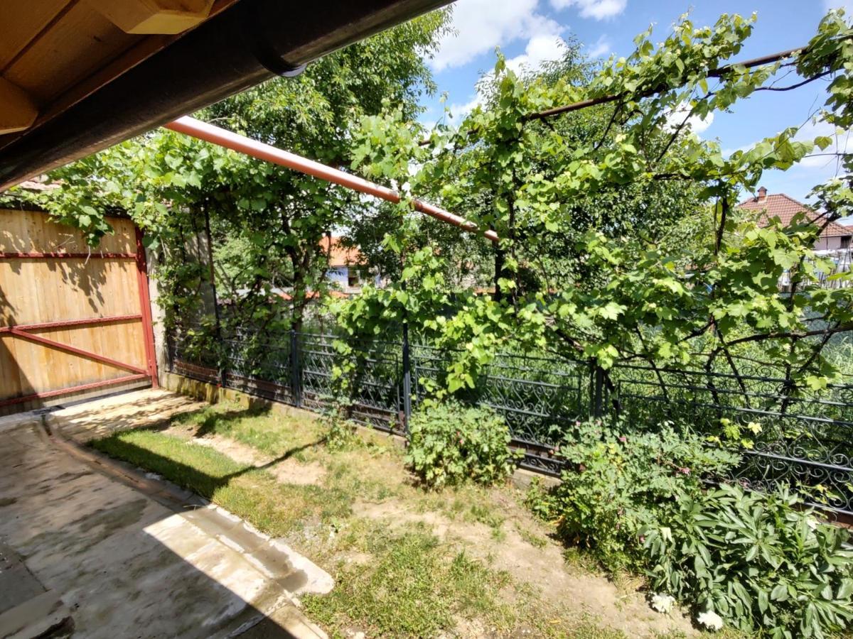 La Tataia Zahei Hotell Dragus Exteriör bild